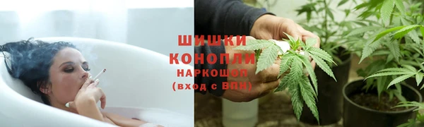 амф Алзамай