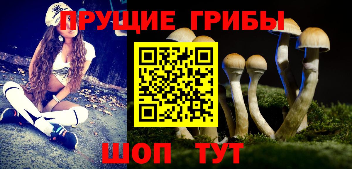 Казань  Псилоцибиновые грибы GOLDEN TEACHER  Вход с VPN 